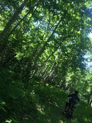 🌲 숲의 토롯코 철도 에코레일